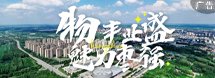 忘记密码